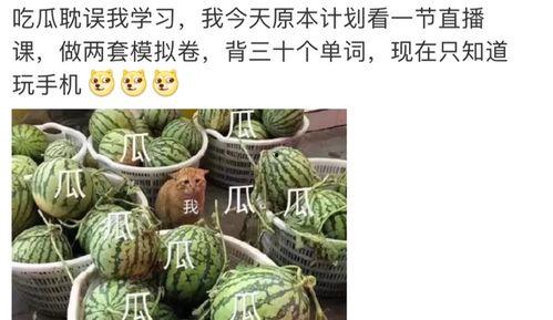 娱乐圈吃瓜大全pdf,吃瓜大全PDF深度解析