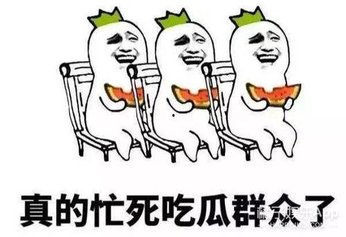 娱乐吃瓜酱知识怎么就进脑子里了,知识如何悄然植入脑海